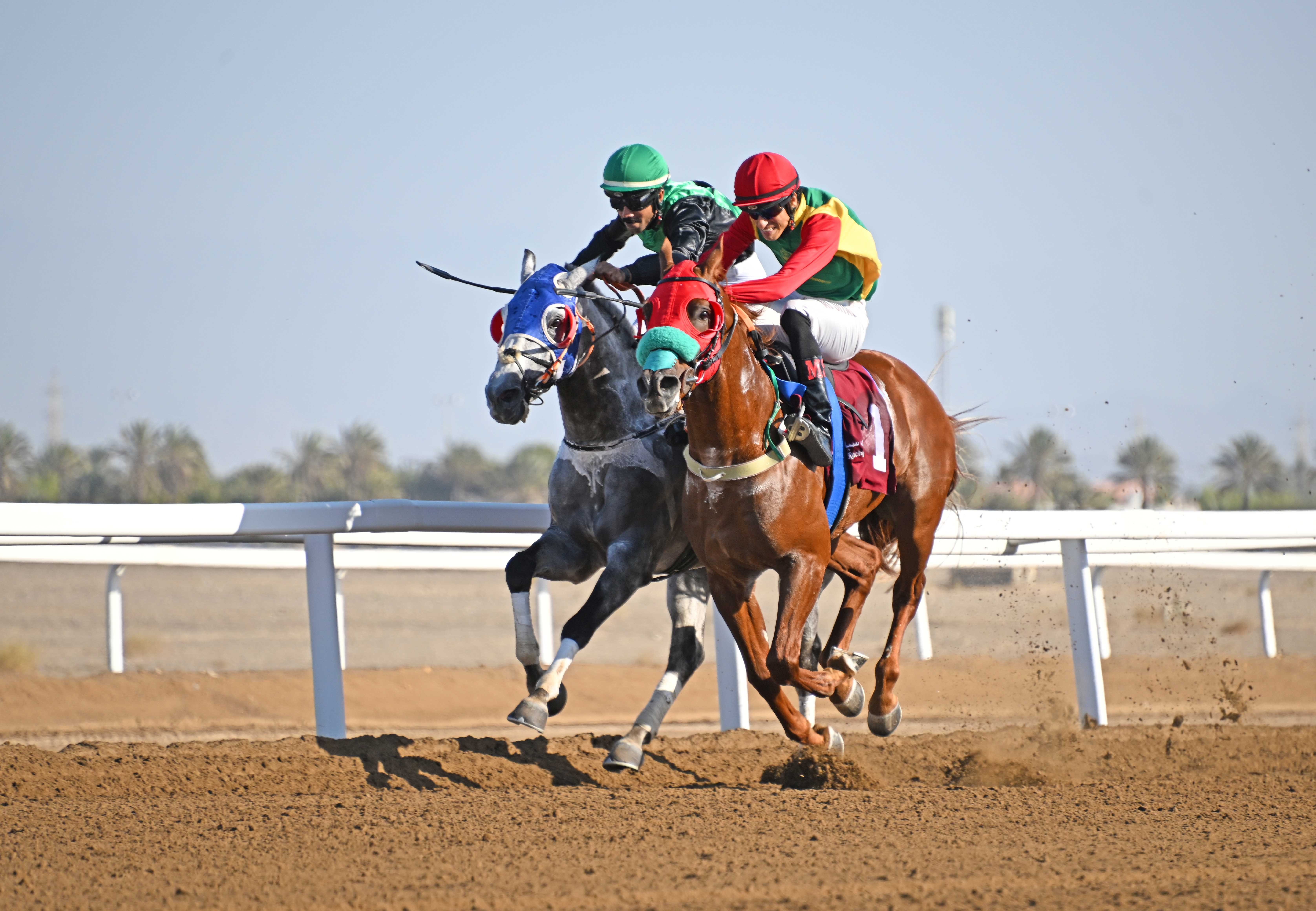 نادي سباق الخيل (3).jpg