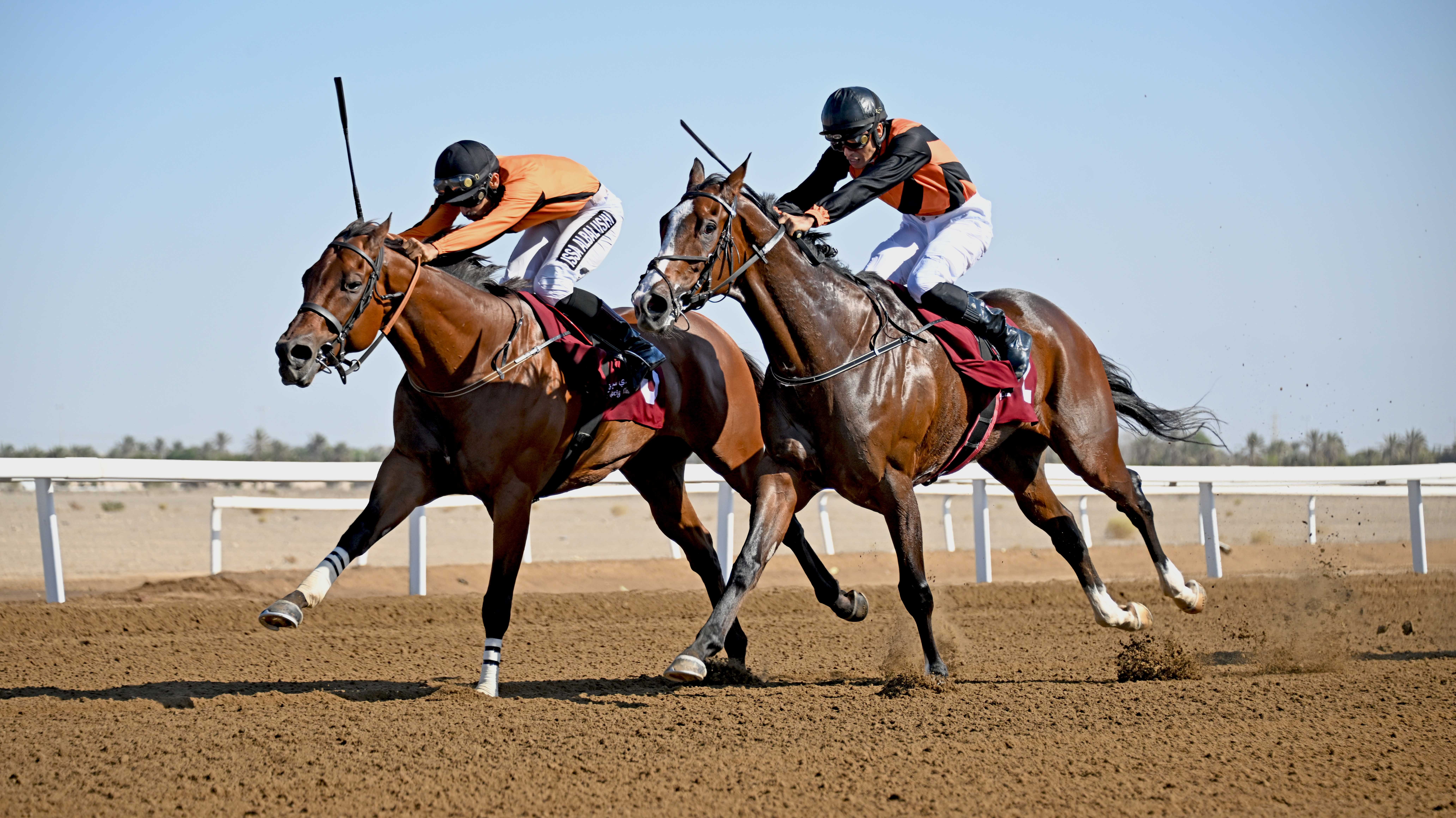 نادي سباق الخيل (2).jpg