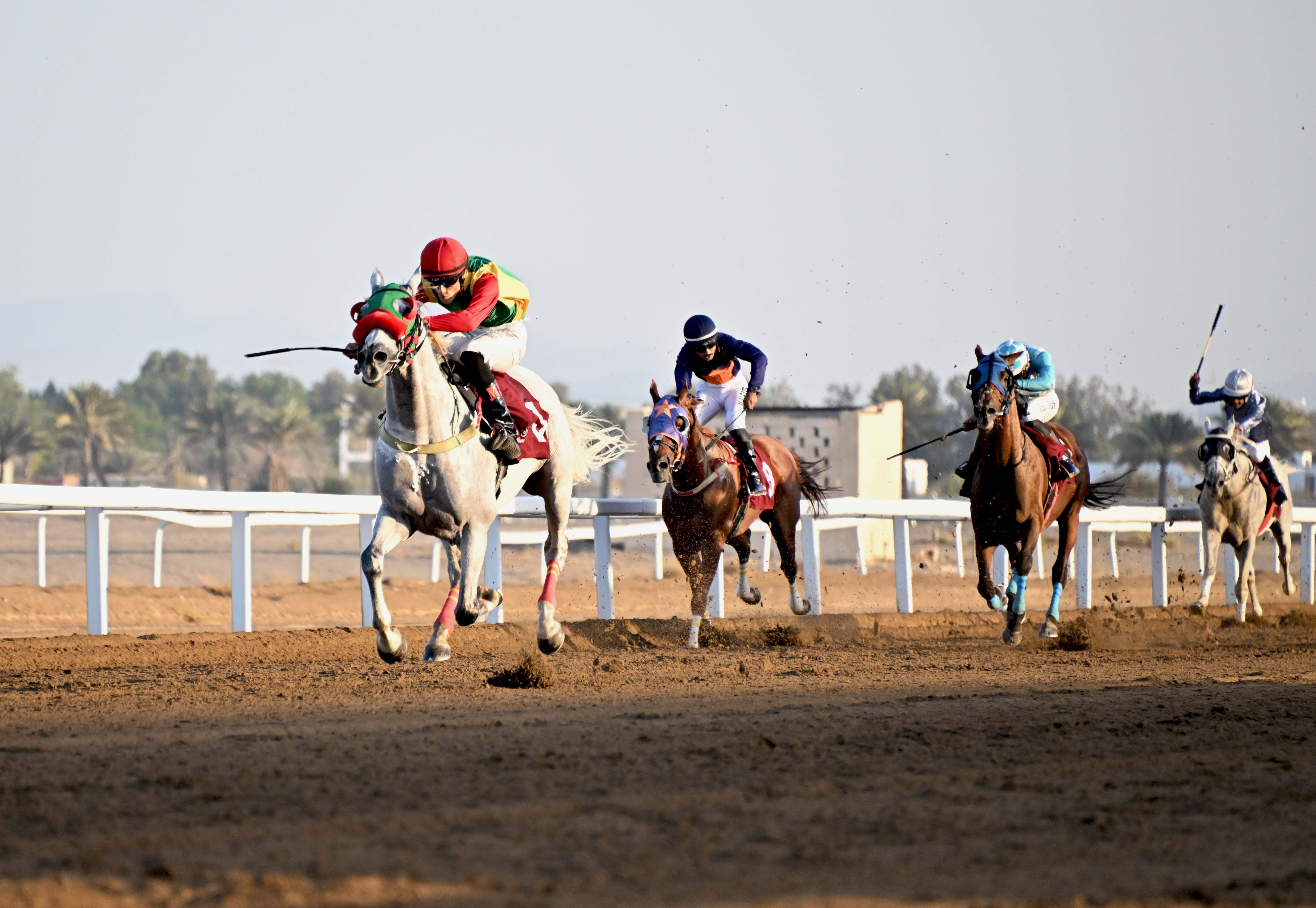 نادي سباق الخيل (6).jpg