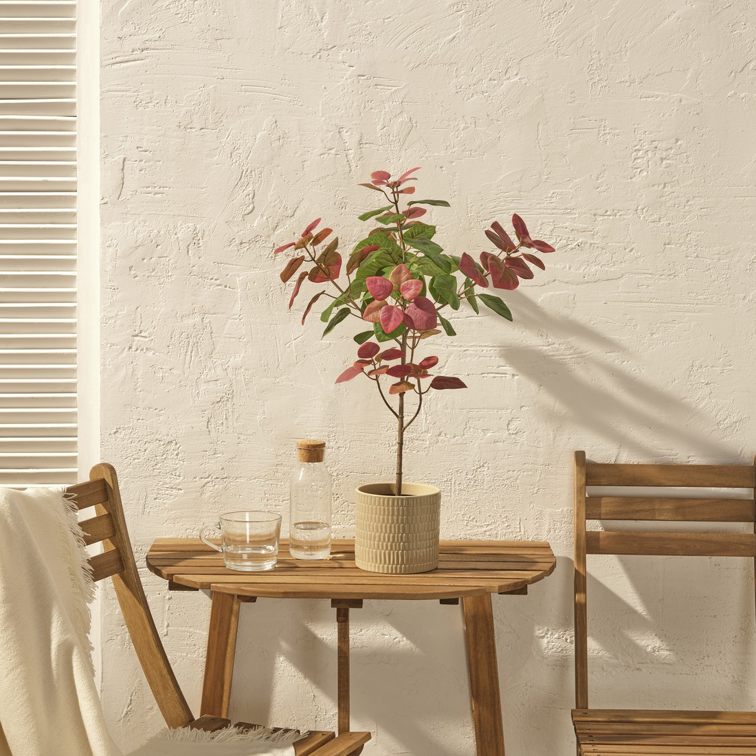 ايكيا عمان (1).jpg