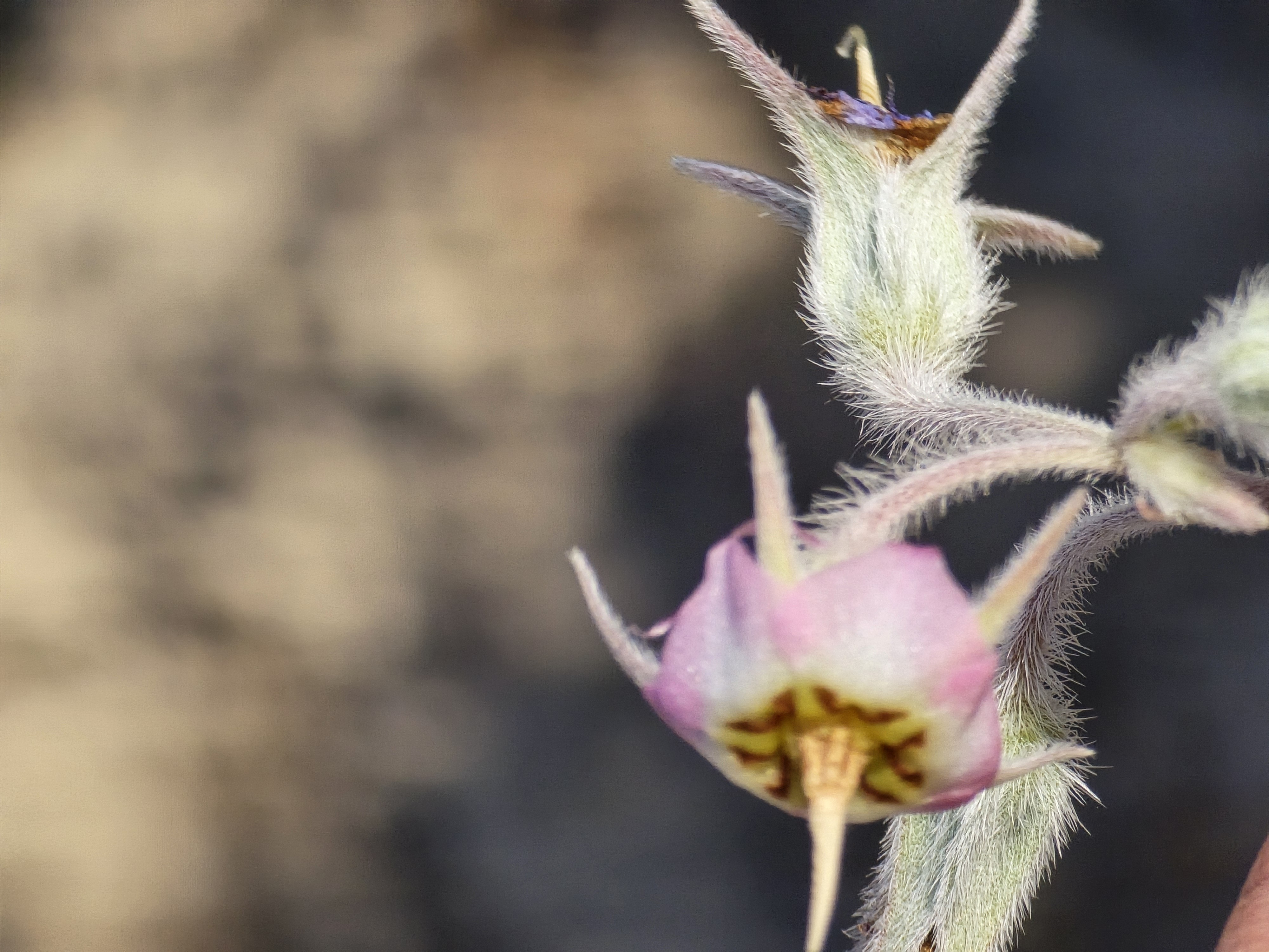 صور مع المقال (3).jpg