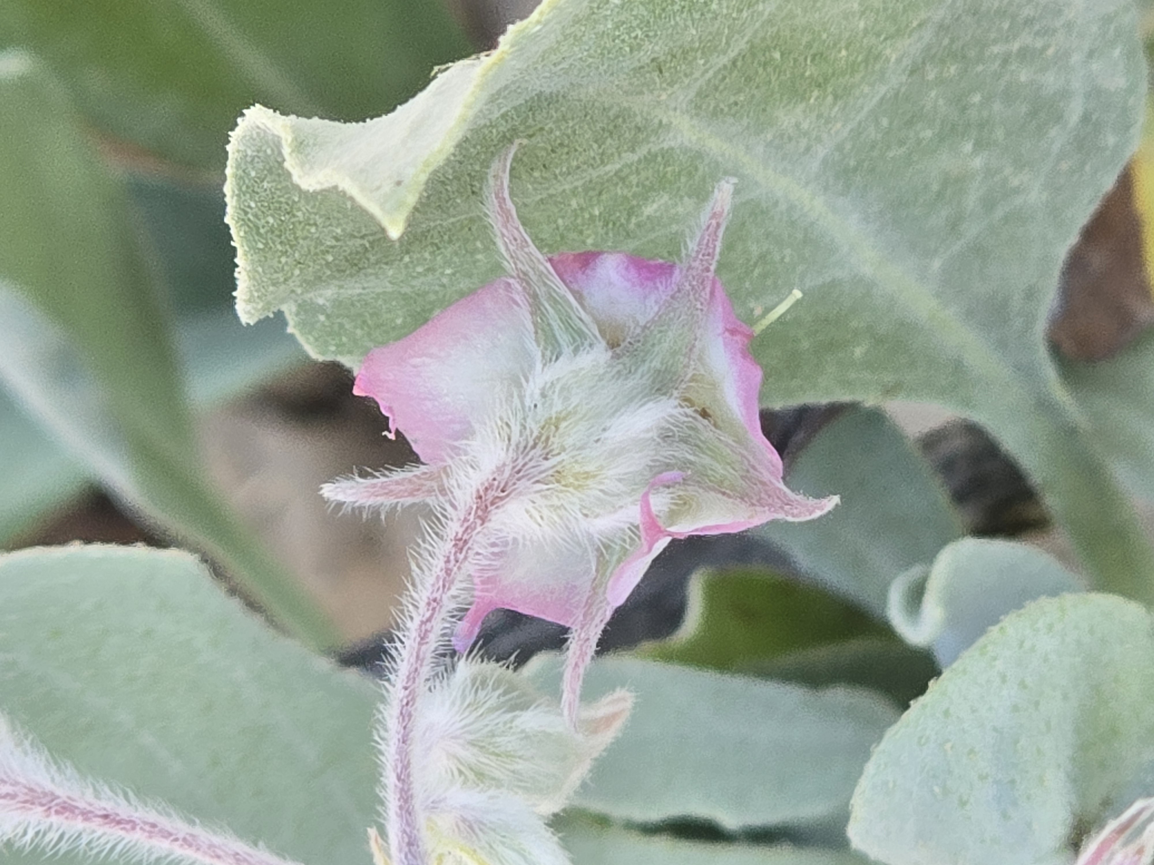 صور مع المقال (2).jpg