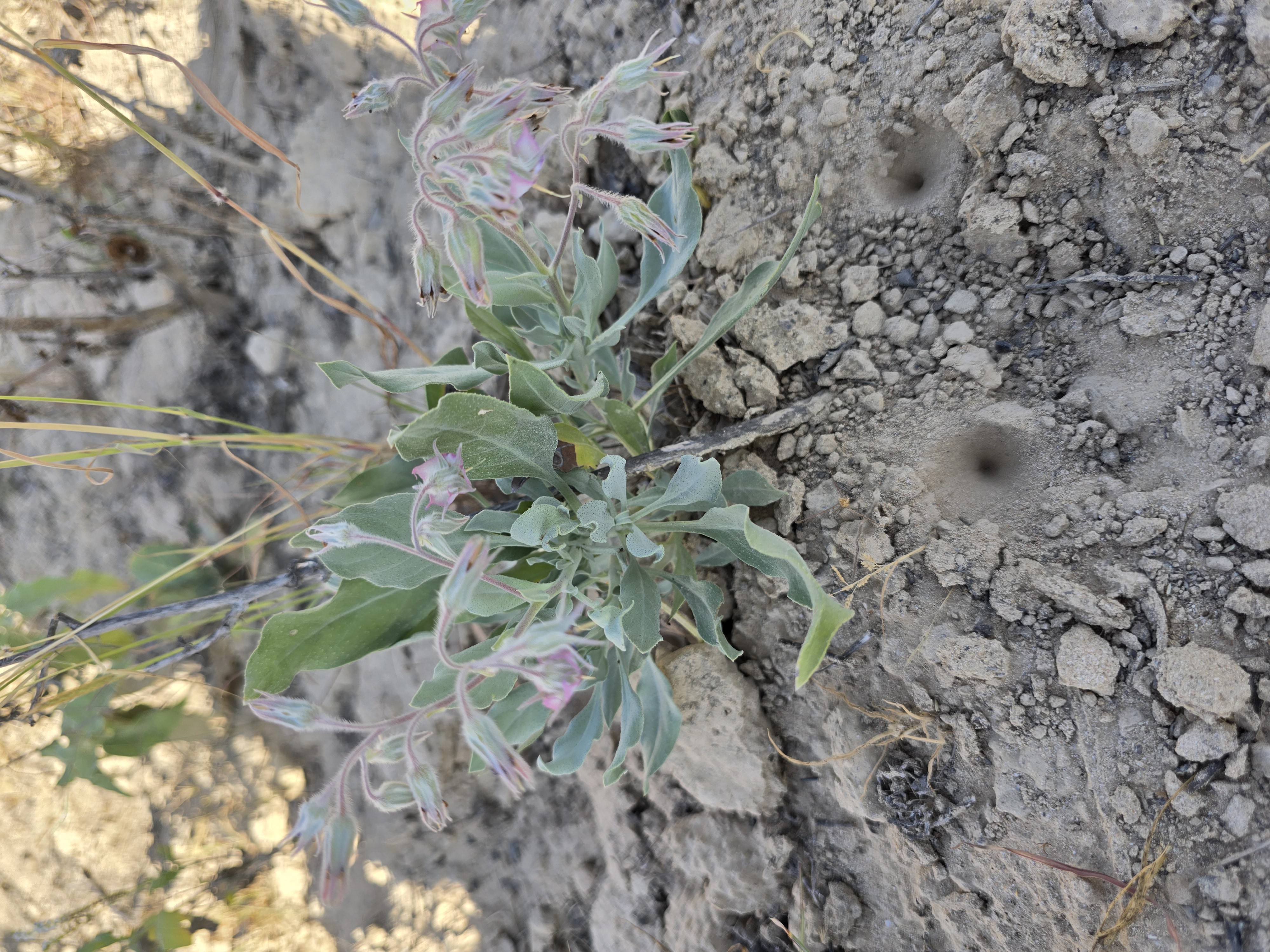 صور مع المقال (1).jpg