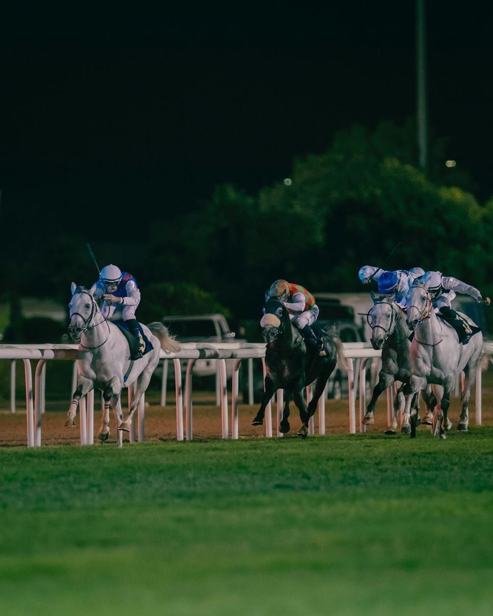 WhatsApp Image 2025-12-08 at 15.58.55_691f9652.jpg