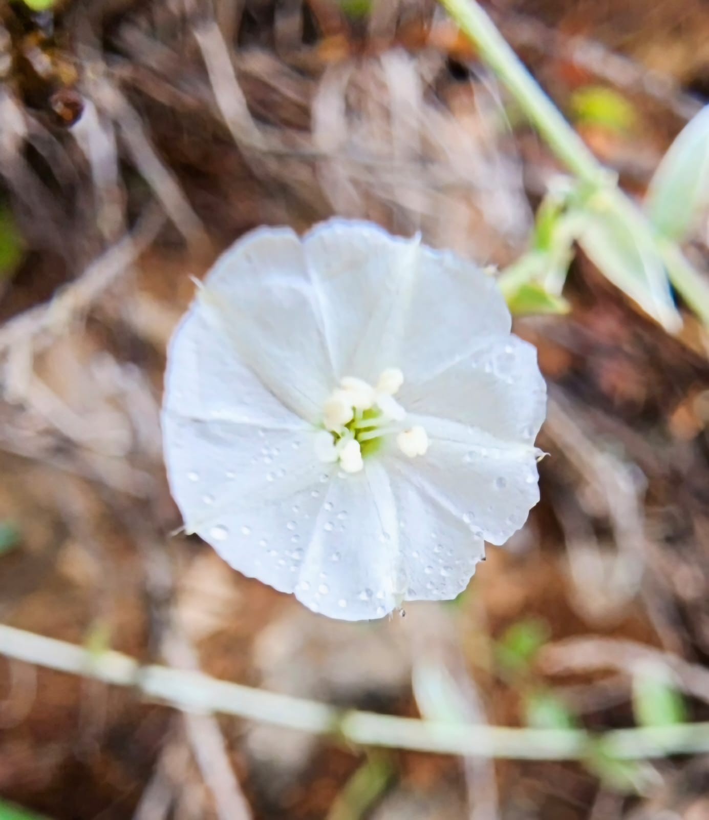 صور داخل المقال (2).jpeg