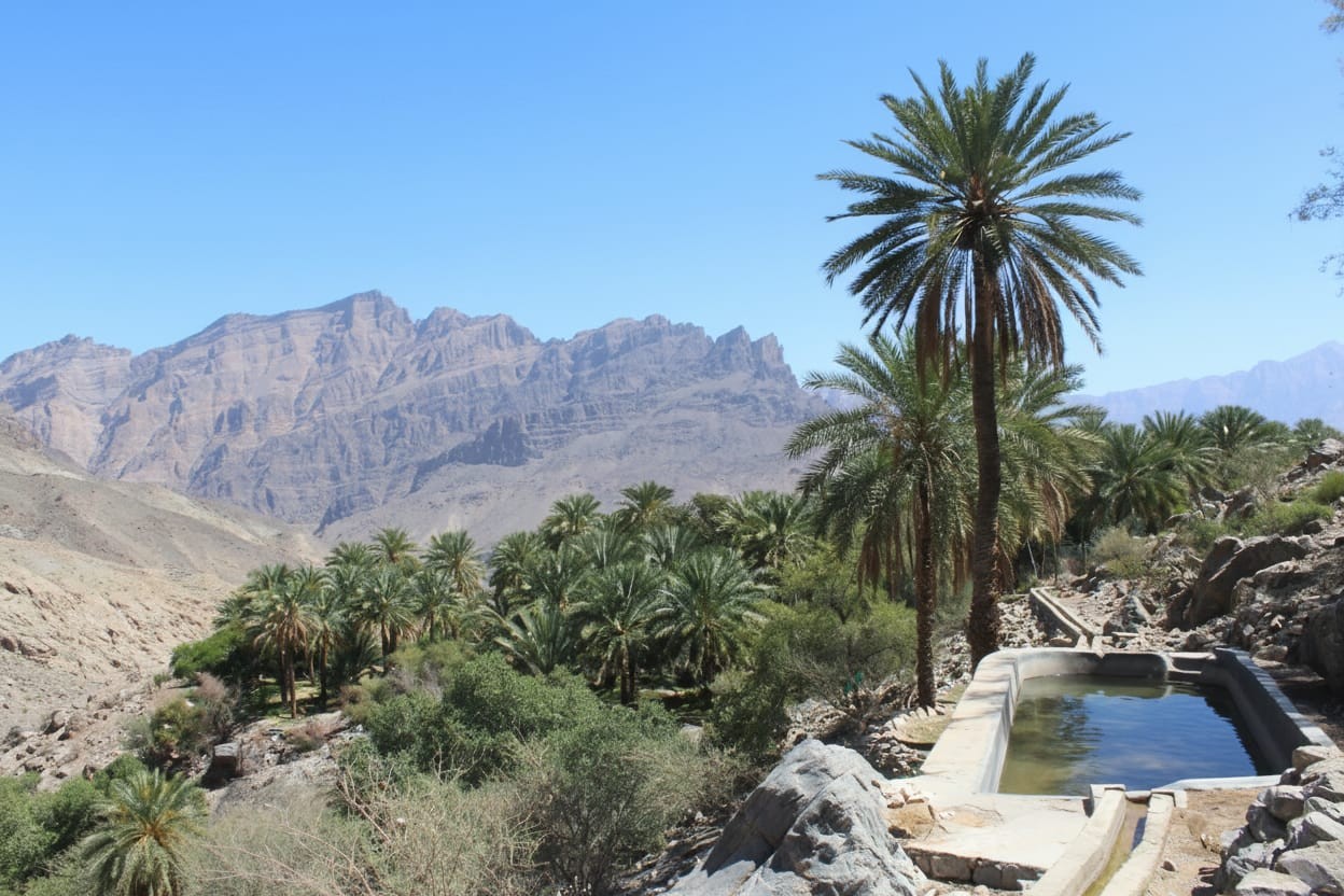 ووادي بني حراص (5).jpg