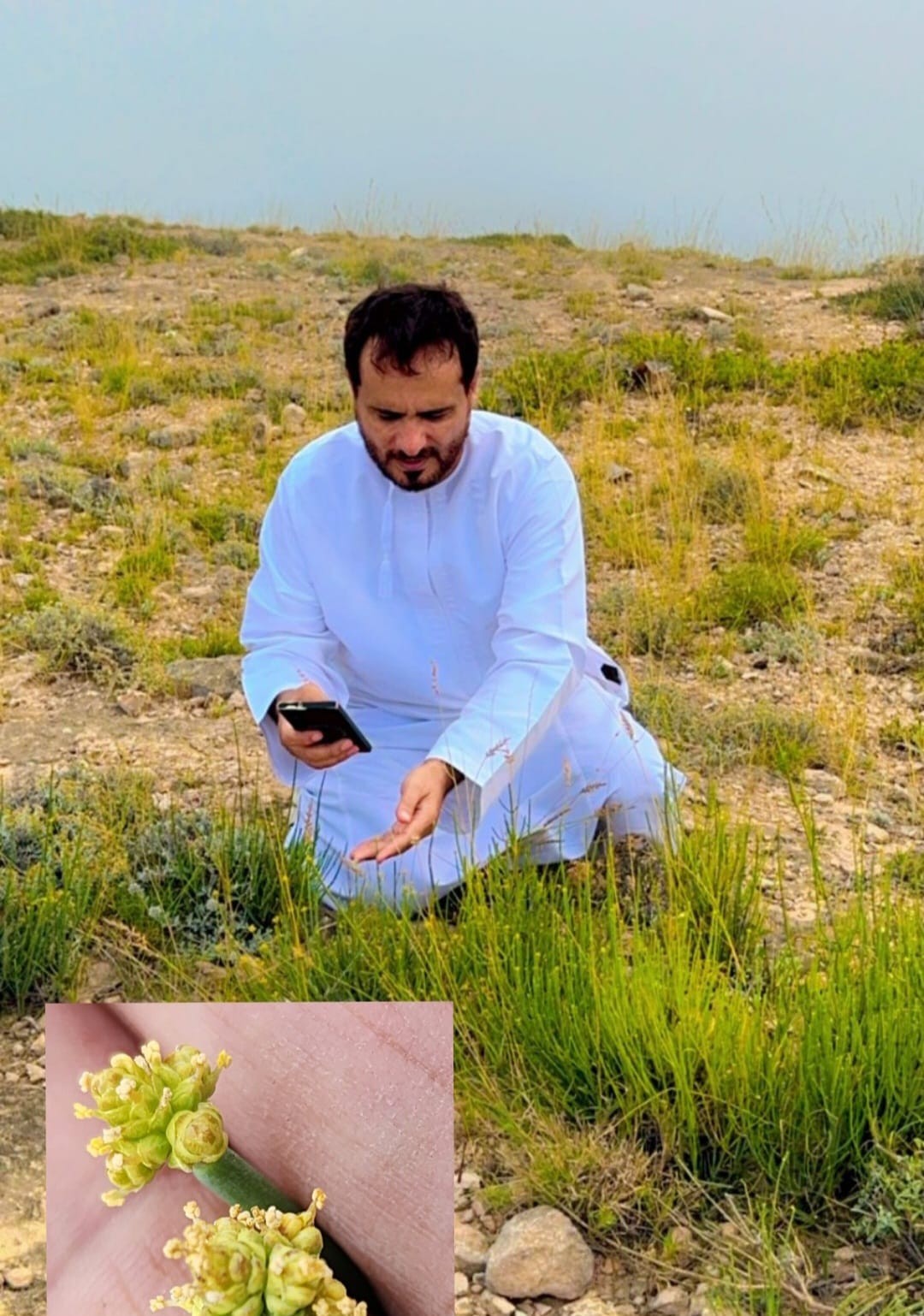 الباحث أحمد جعبوب (1).jpeg