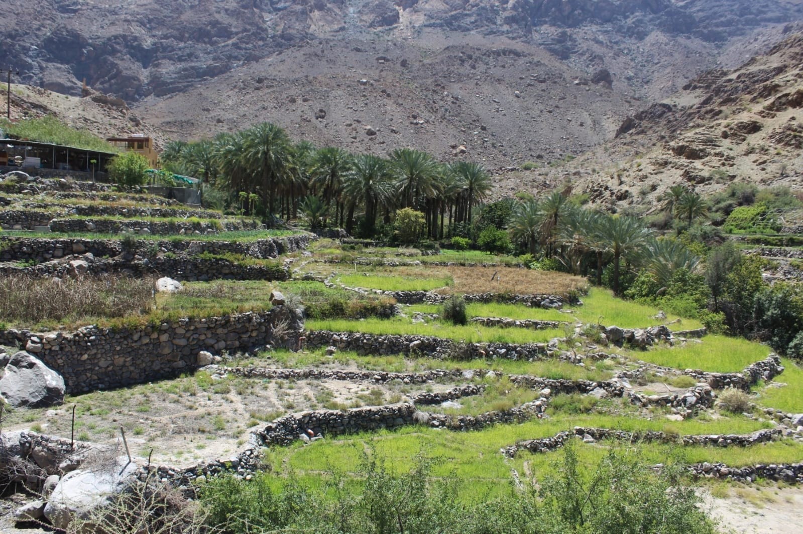 ووادي بني حراص (3).jpg