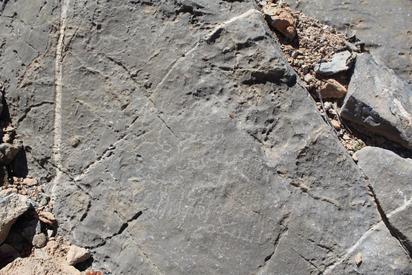 ووادي بني حراص (1).jpg