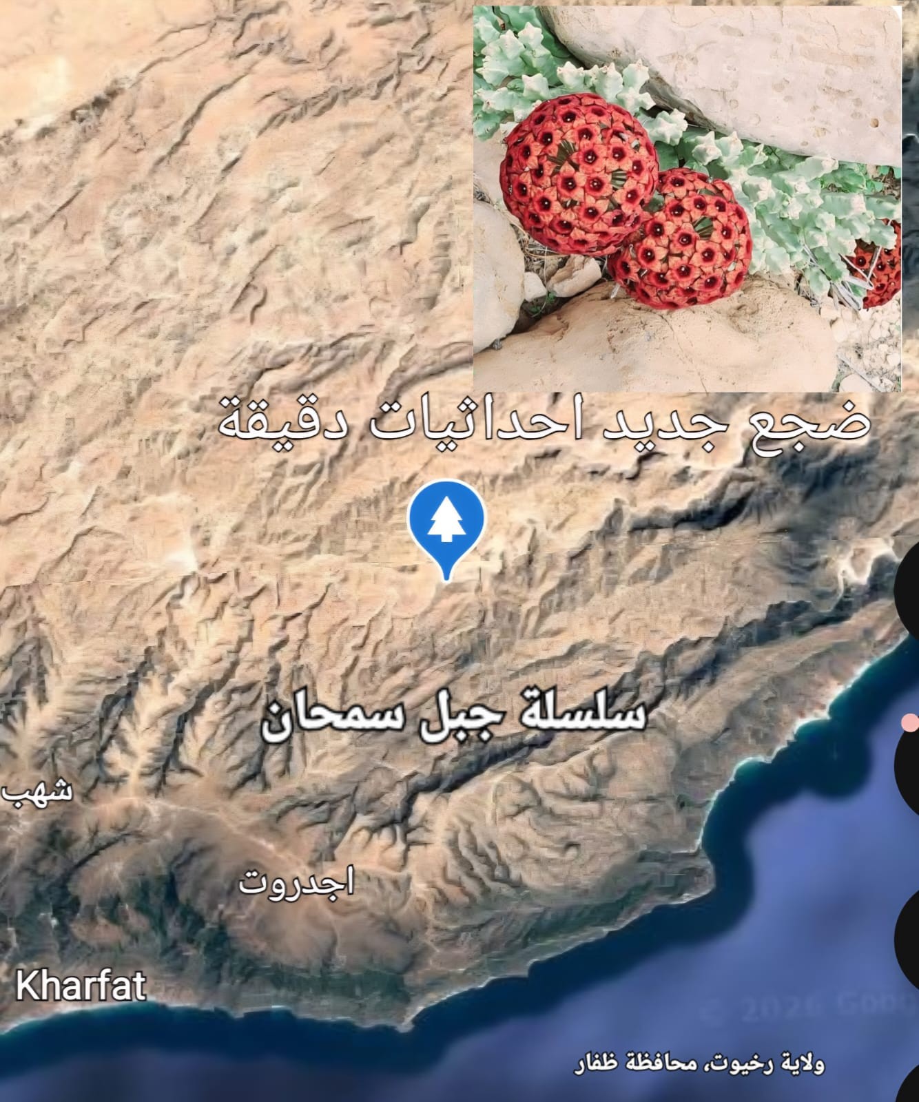 صور داخل المقال (3).jpeg