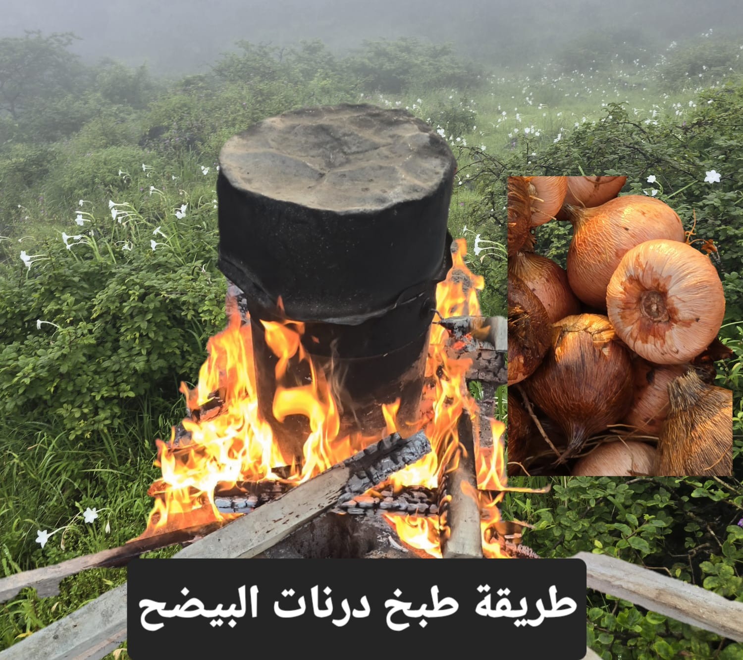 صور داخل المقال (5).jpeg