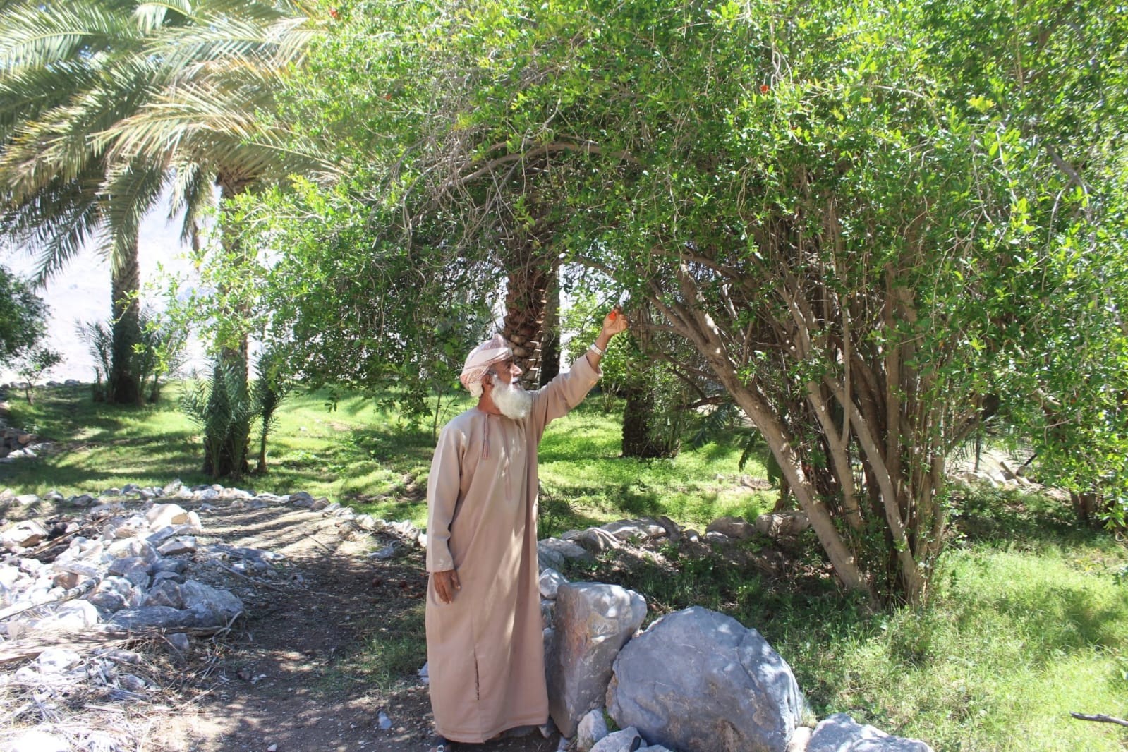 ووادي بني حراص (8).jpg