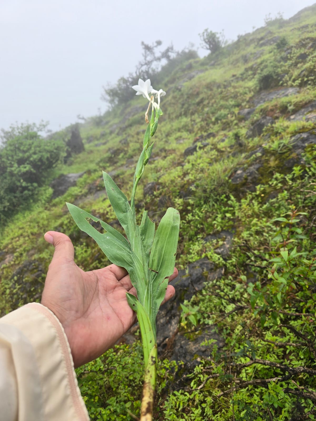 صور داخل المقال (2).jpeg