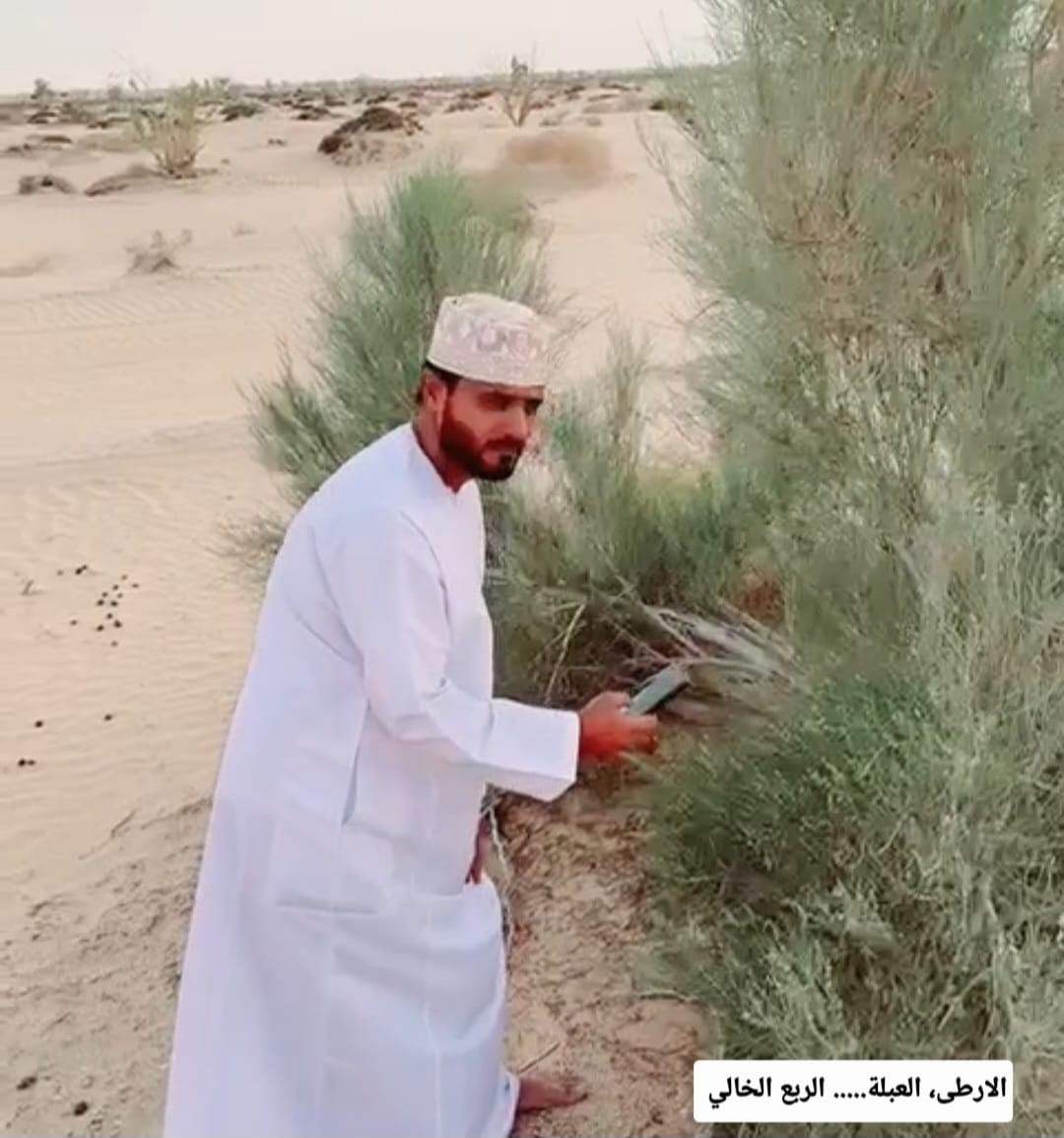 نباتات في ظفار (13).jpeg
