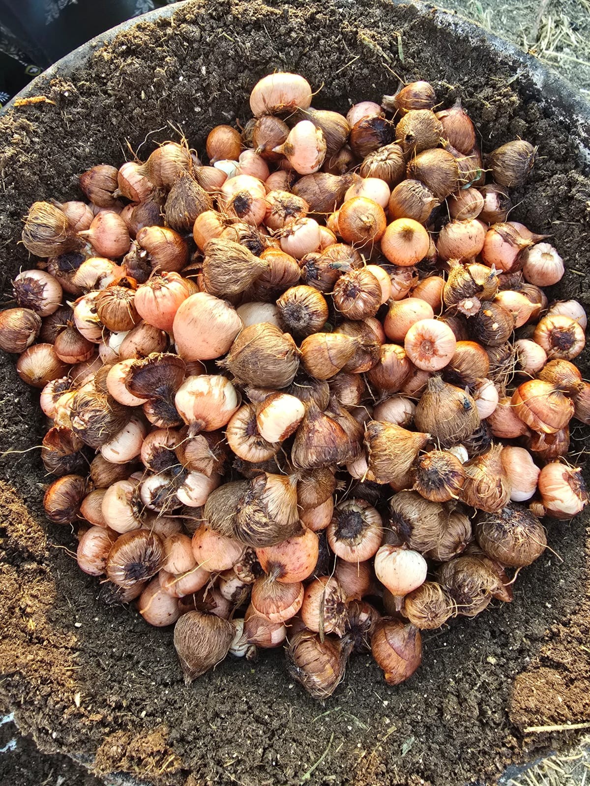 صور داخل المقال (3).jpeg