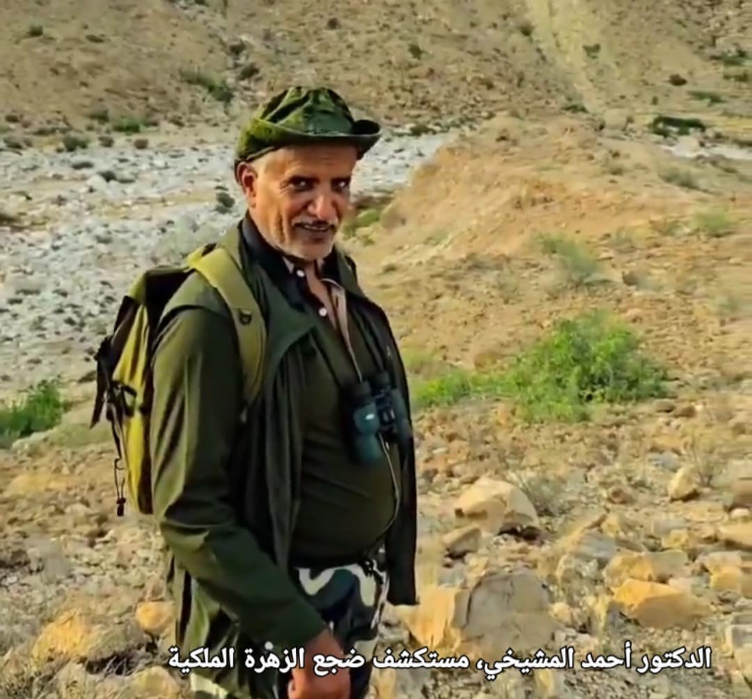 صور داخل المقال (1).jpeg