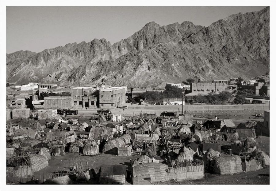 صور داخل المقال (4).jpeg