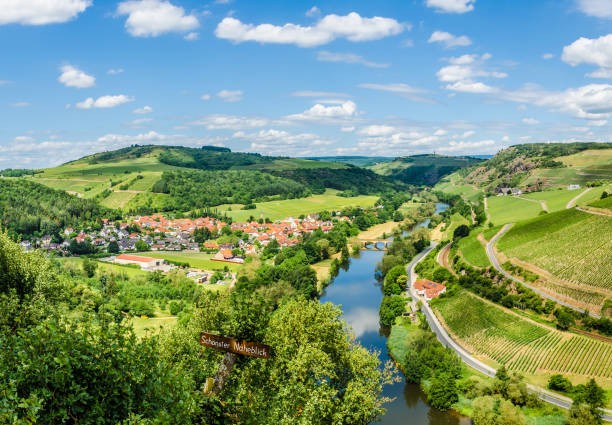 istockphoto-1343879636-612x612.jpg