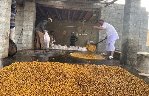 جانب من عملية التبسيل.jpg