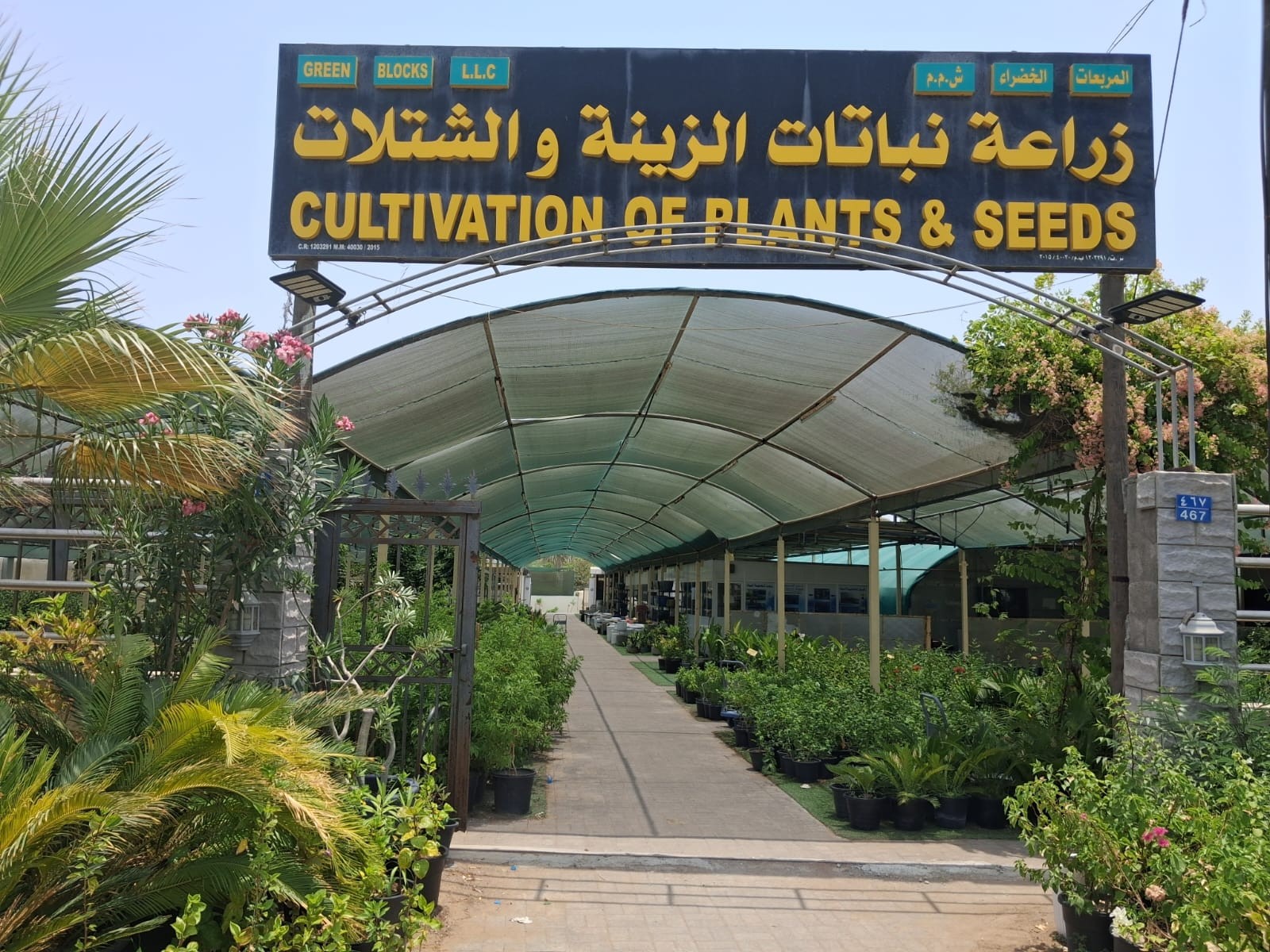 مشتل المربعات الخضراء.jpg