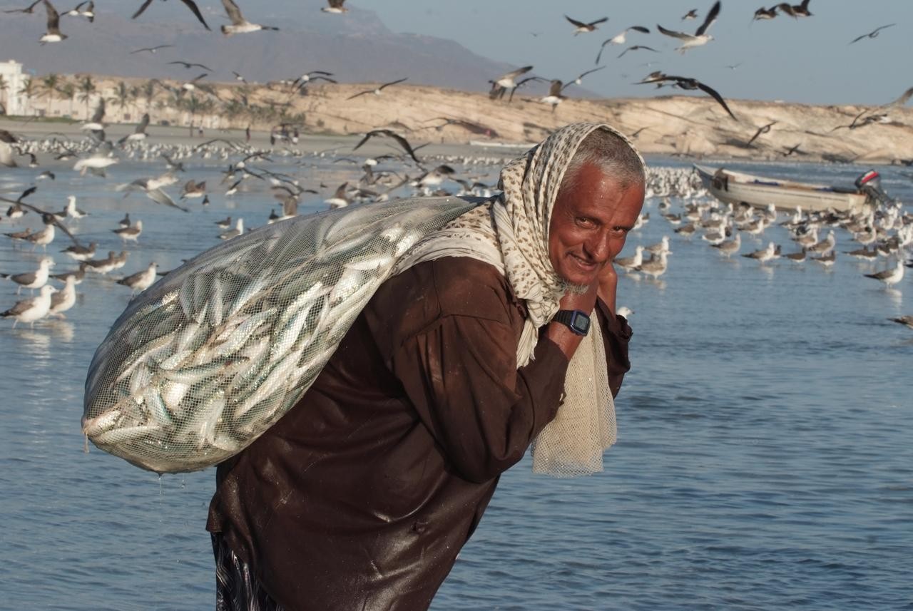 صورة داخل المقال.jpeg