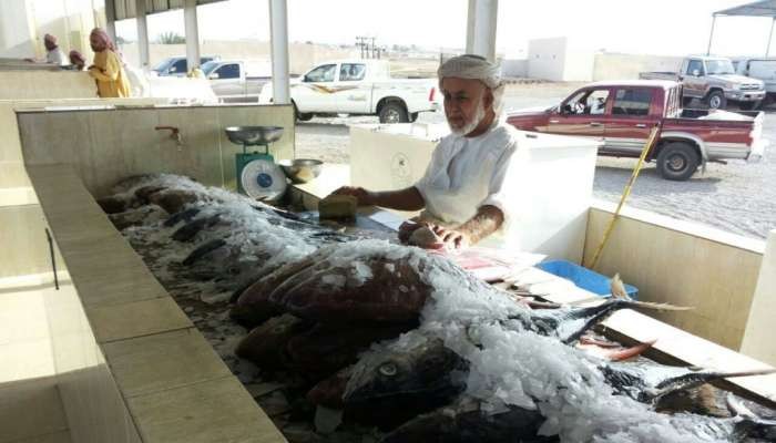 إنزال كميات كبيرة من الأسماك في ولاية جعلان بني بوعلي