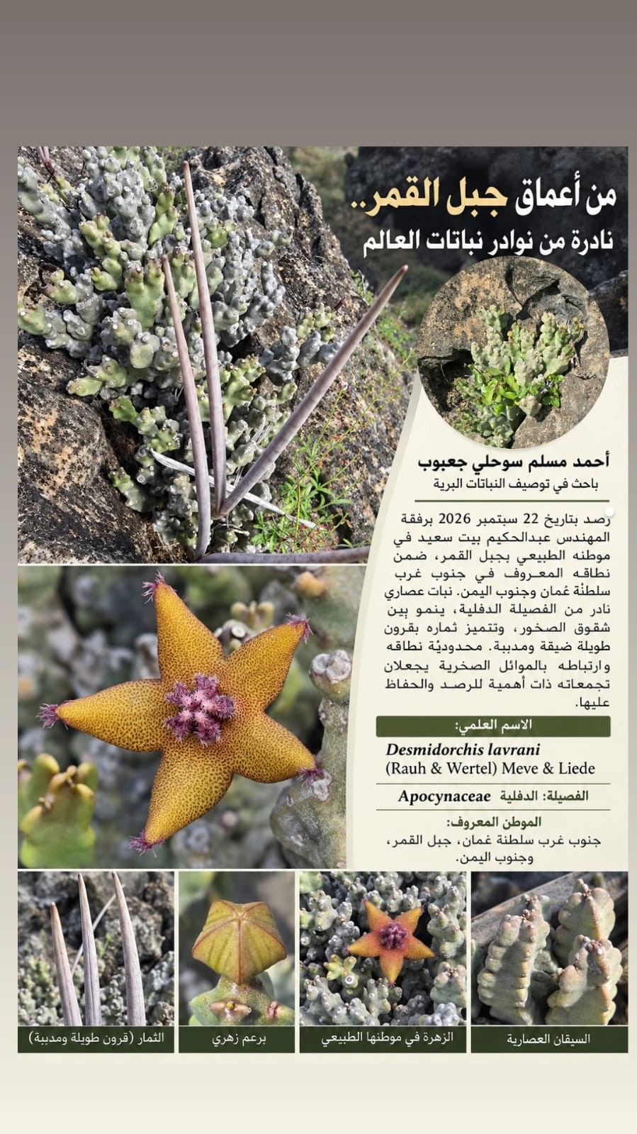 صور داخل المقال (2).jpeg
