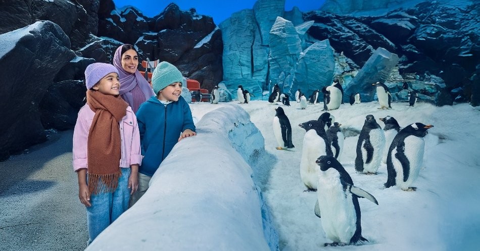 SeaWorld Yas Island Abu Dhabi  2.jpg