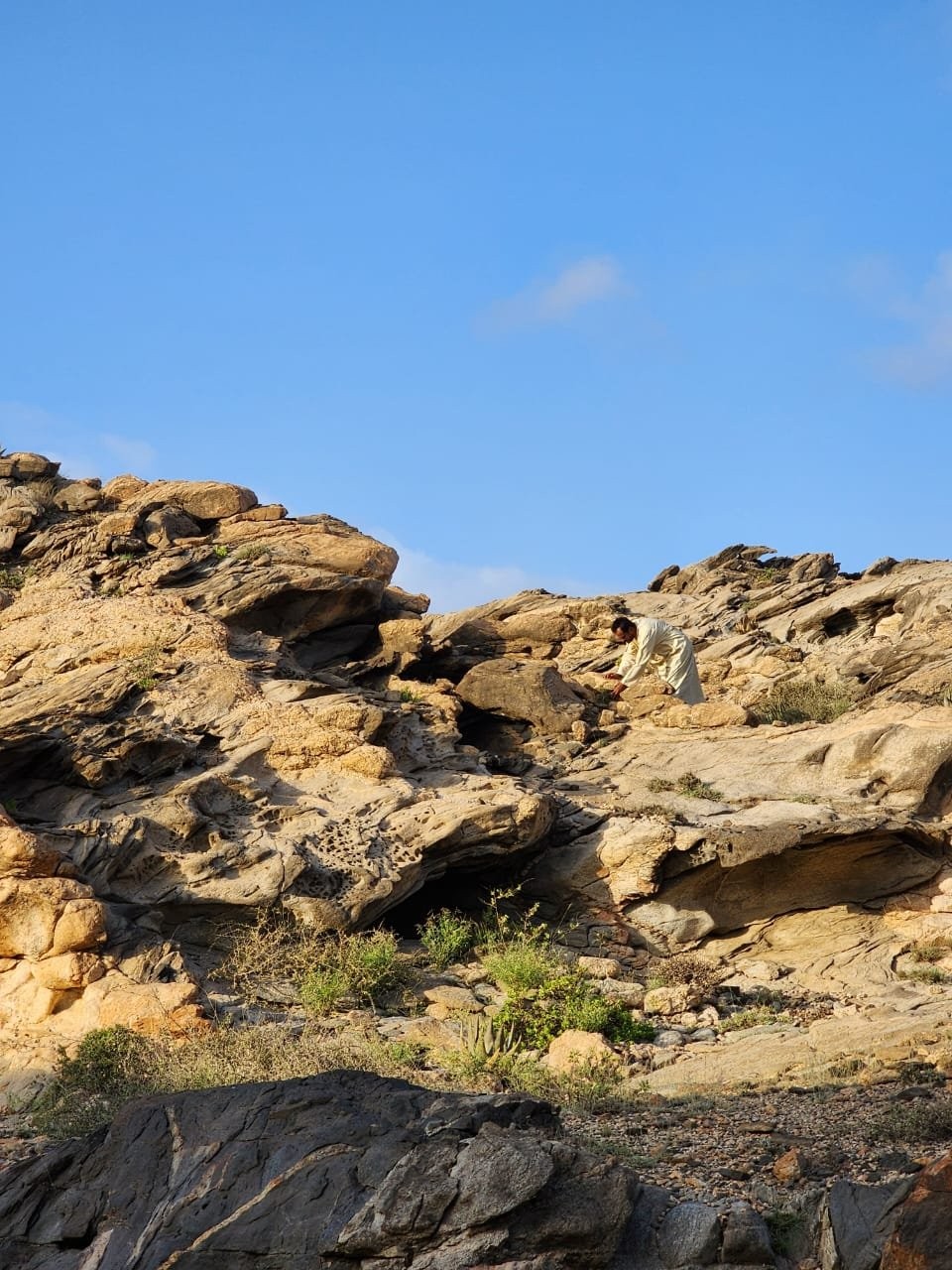 صور داخل المقال (7).jpeg