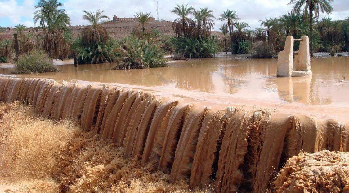 صور يزجن في الجزائر (2).jpeg
