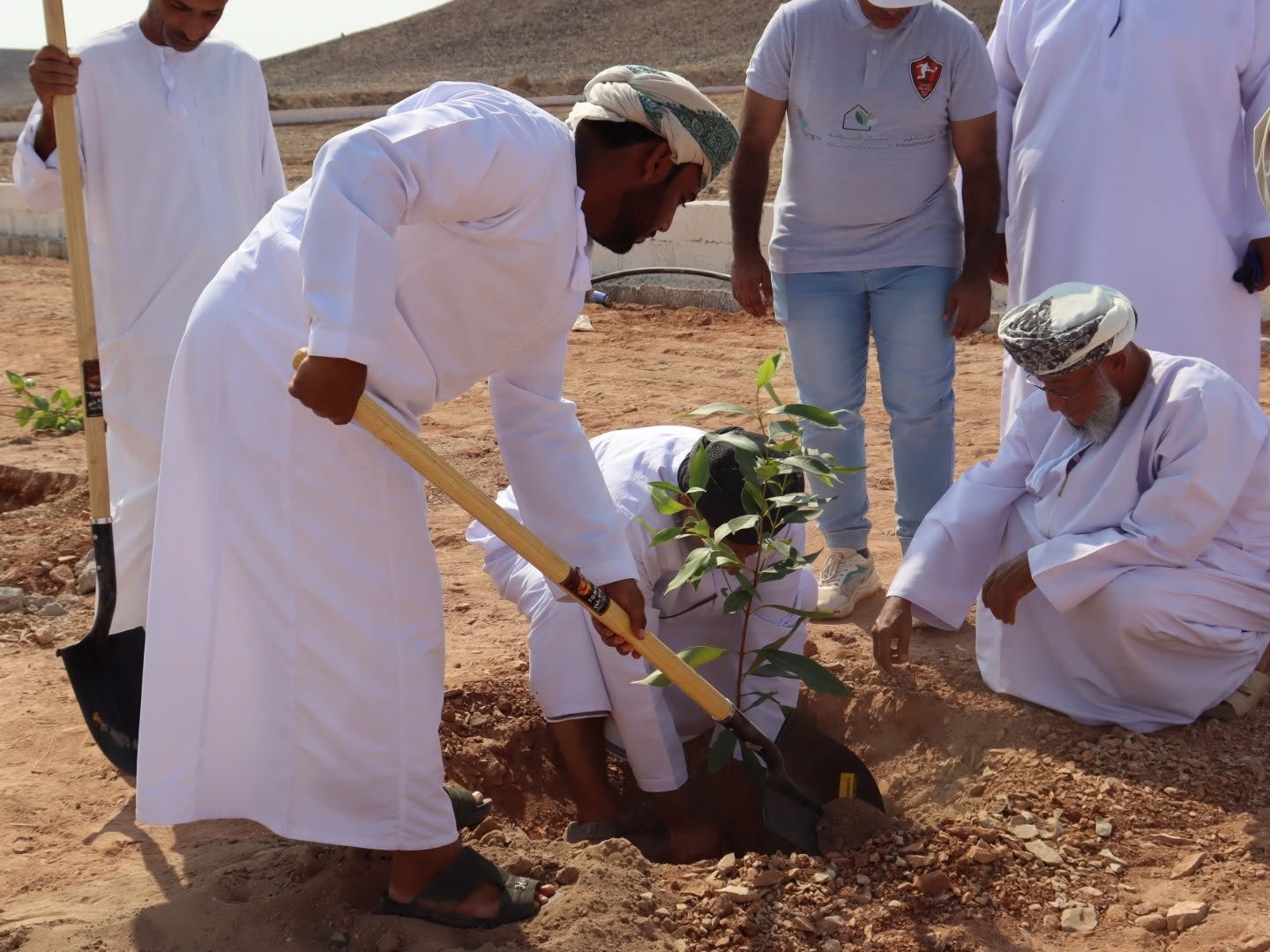 تشجير في سناو (6).jpeg